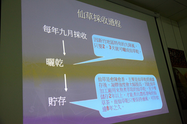  @大手牽小手。玩樂趣