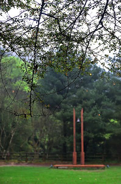 DSC_0049_13