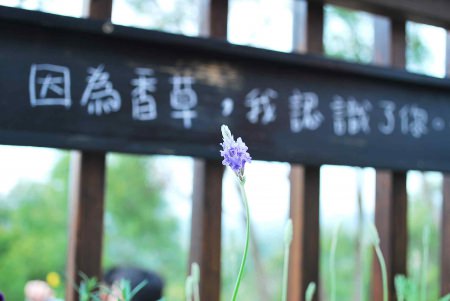  @大手牽小手。玩樂趣